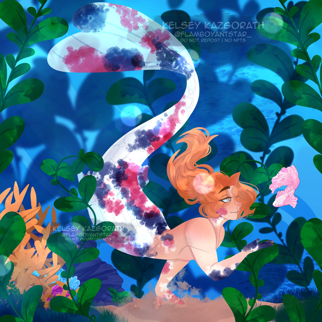 Salem Poole | Fish meets Fish